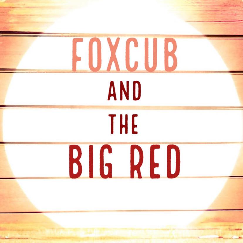 FoxFoxcub and the Big RedFox FoxFoxcub and the Big RedFox
